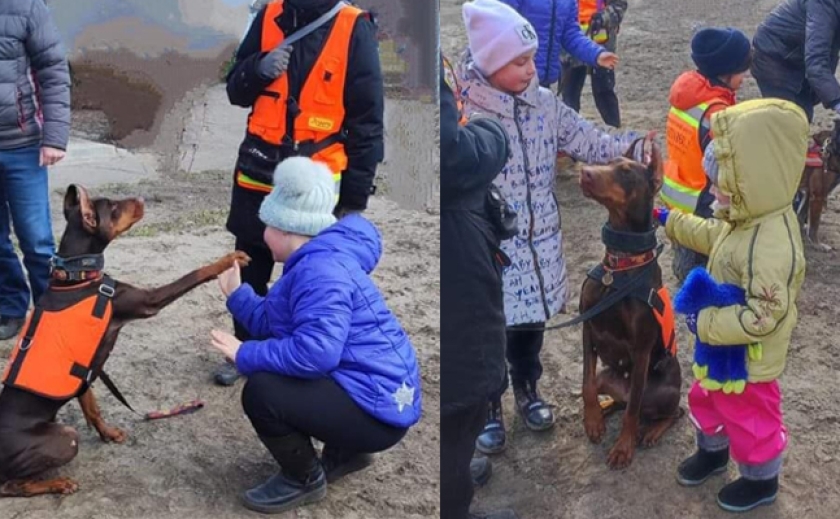 Кинологи Павлоградского отряда «Антарес» со своими собаками провели канистерапию среди беженцев