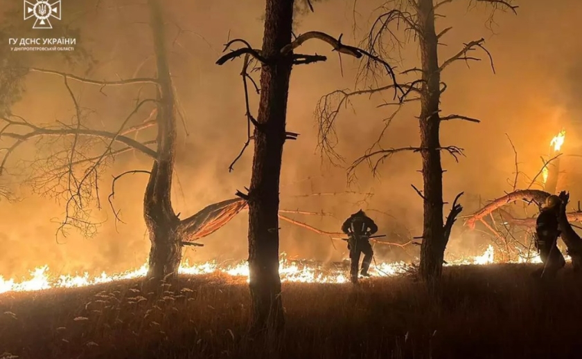 Павлоградські рятувальники запобігли масштабній пожежі на території хвойного лісу
