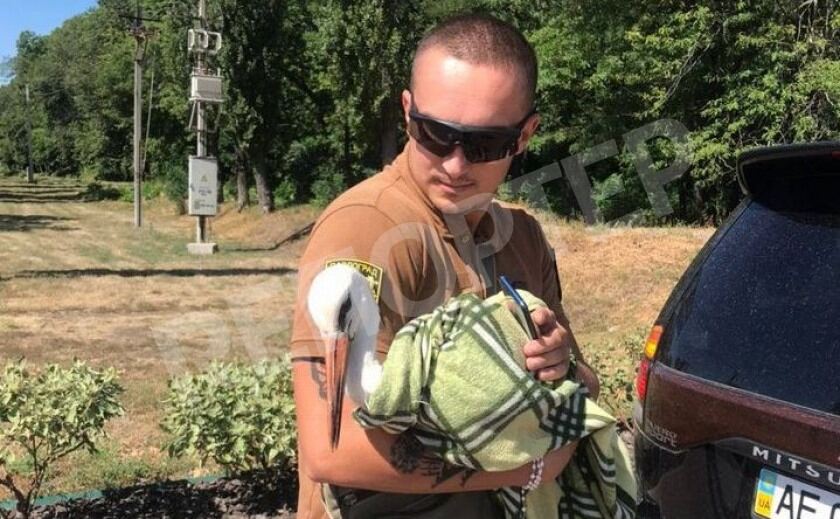Павлоградские полисмены спасли аиста