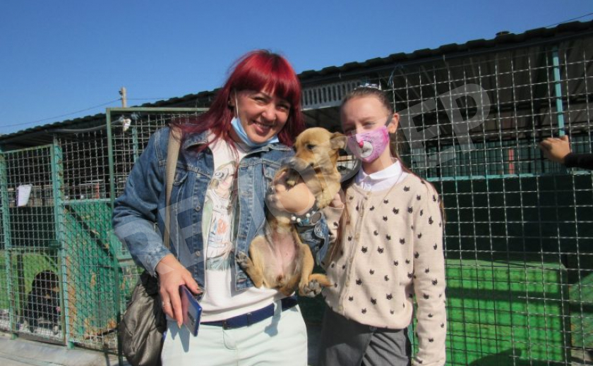Павлоградские школьники помогли приюту для животных