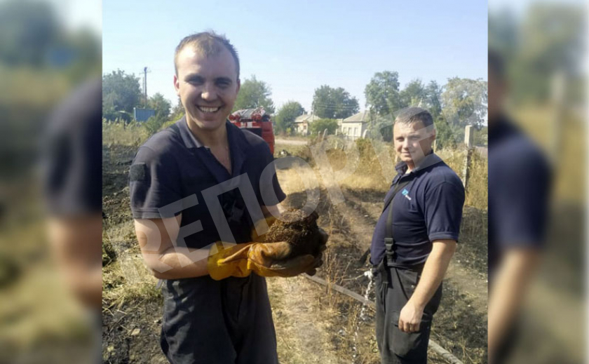 Павлоградские спасатели из огня достали ёжика